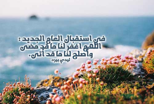استقبال العام الجديد 4