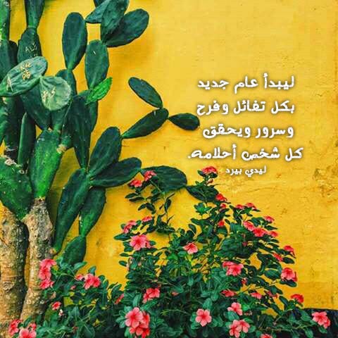 للعام الجديد 338