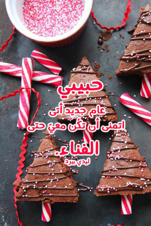 سنة جديدة حبيبي 4