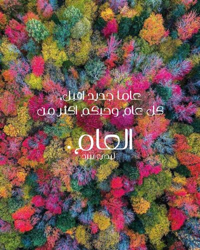 سنة جديدة مكتوب عليها 55