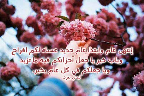فيس بوك للعام الجديد