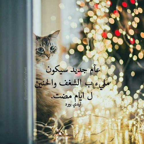 كلمات رأس السنة 33