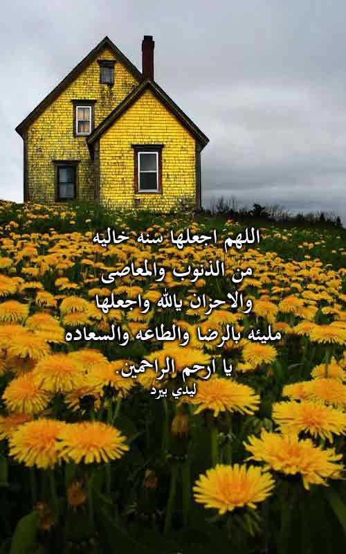 واتس اب للعام الجديد 4