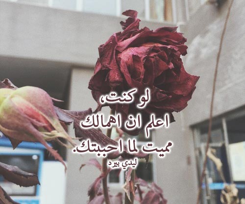 حزينة عن الحب الحقيقي