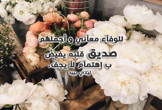 اهتمام بصديق