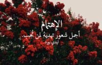 عن الاهتمام