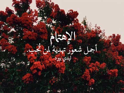 عن الاهتمام