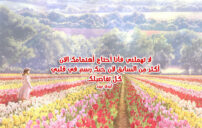 اهتم فيني
