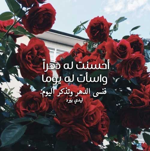 عن تجاهل الحبيب