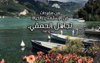 عن تجاهل الحمقى