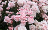 عن عدم الاهتمام والتجاهل
