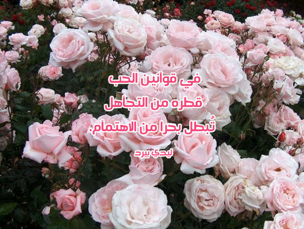 عن عدم الاهتمام والتجاهل
