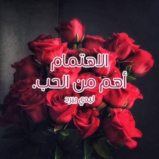 عن عدم اهتمام الحبيب بحبيبته