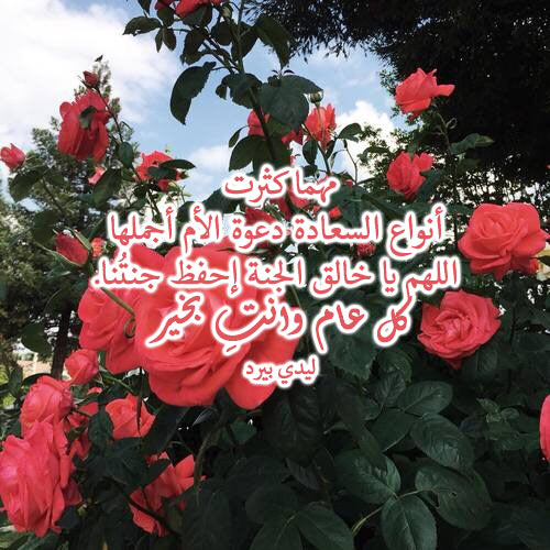 عيد الام