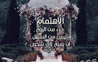 عن الاهتمام