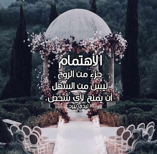 عن الاهتمام