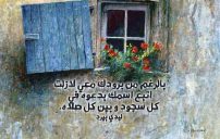 لشخص بارد عاطفيا