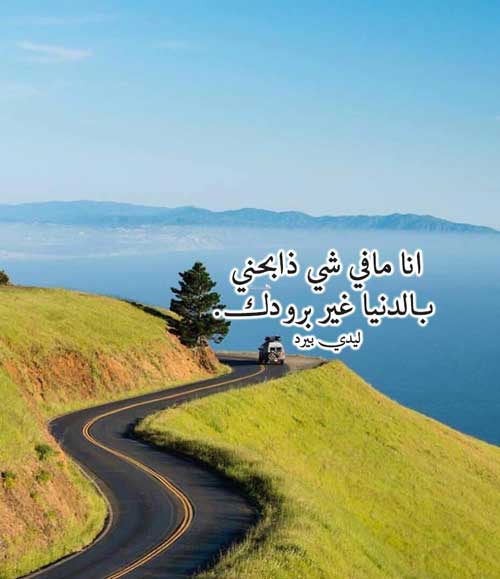 للحبيب البارد