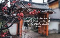 عبارات دينية عن الحياة