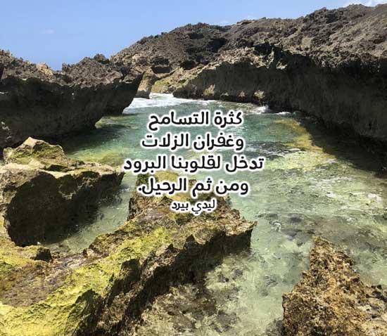 عن البرود