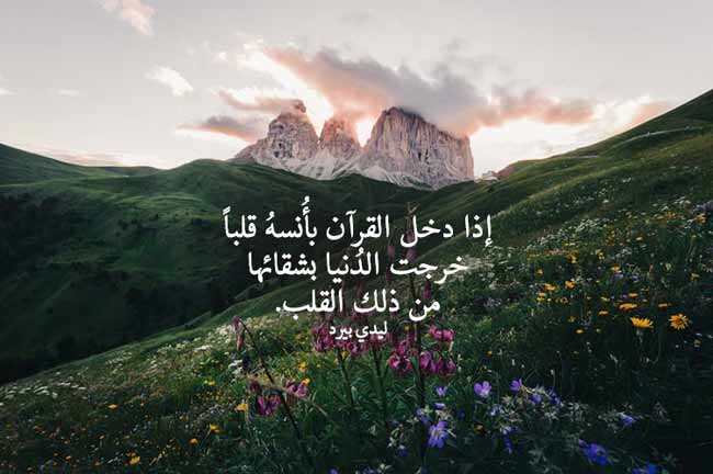ديني جميل 1