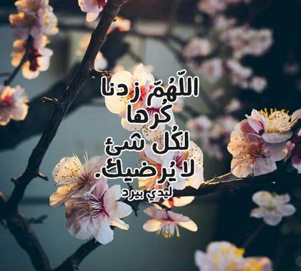 ديني رائع وقصير