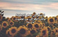 ديني روعة