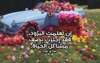 كلام عن البرود 13 كلام عن البرود