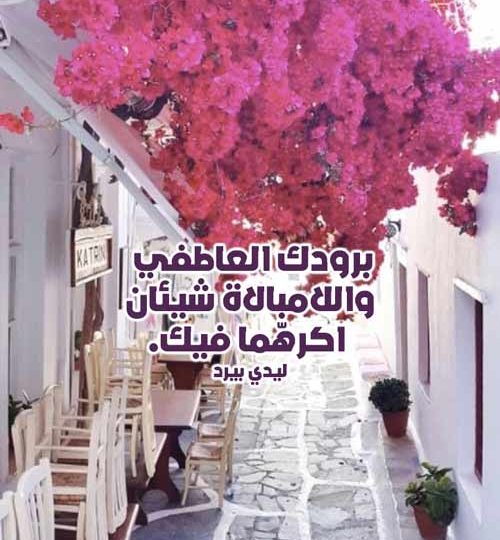 كلام عن البرود العاطفي 1 كلام عن البرود العاطفي