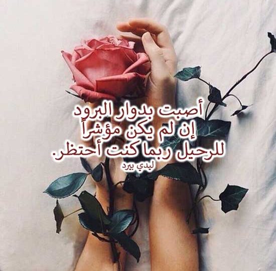 عن البرود في الحب