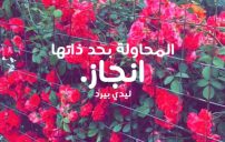 عن الانجاز والنجاح