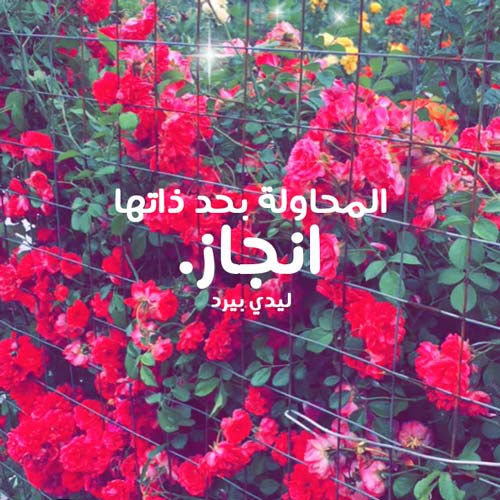 عن الانجاز والنجاح
