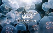 دعاء للواتس اب