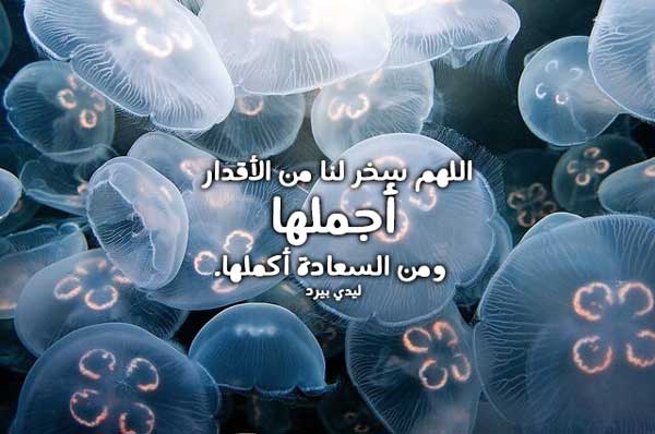 دعاء للواتس اب