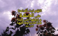 جميلة عن كل شيء
