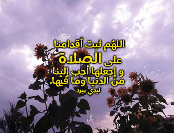 جميلة عن كل شيء