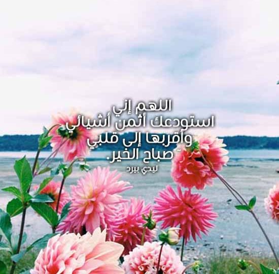 في الصباح