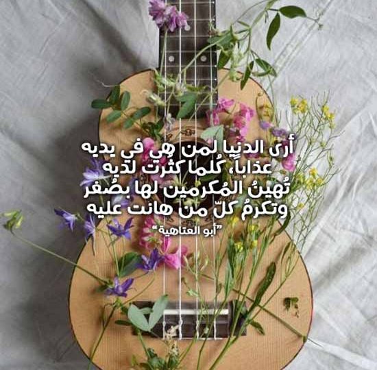 الشعراء والادباء