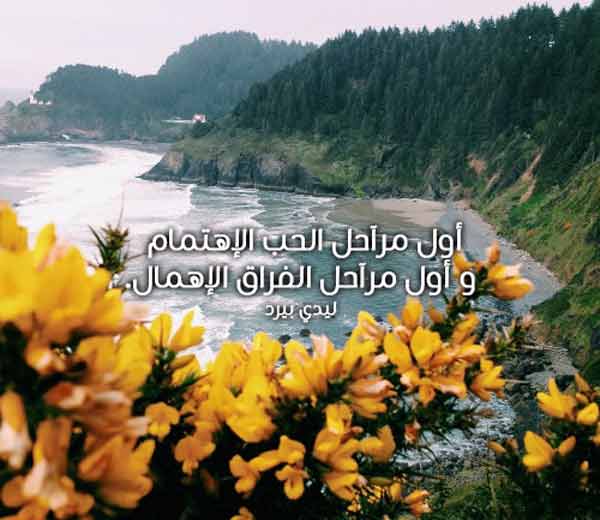 وحكم عن الاهمال