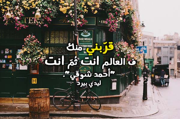 وحكم عن الحياة