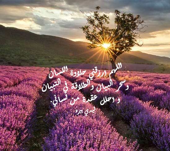 دعاء تويتر