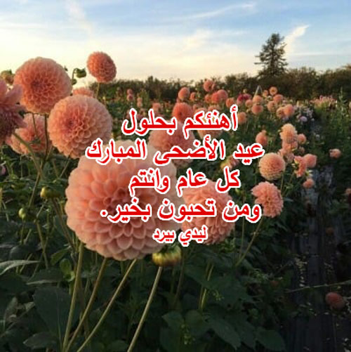 تهنئة عيد الأضحى إسلامية