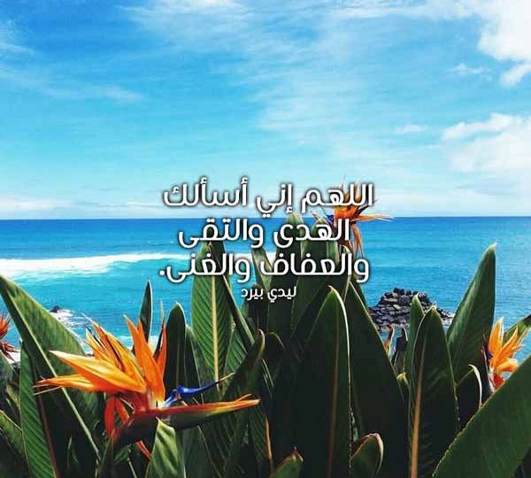 قصير للواتس اب