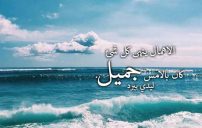 من اهمال الصديق