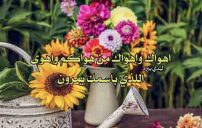 جميل غزل 1