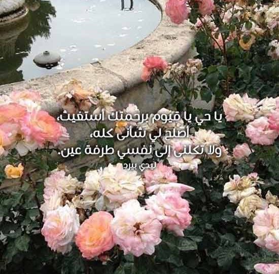 ديني للواتس اب