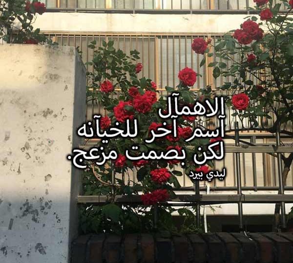 عن الاهمال في الحب