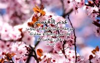 كلام عن عدم الاهمال 15 كلام عن عدم الاهمال