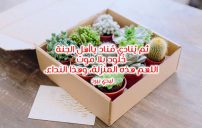 دينية راقية