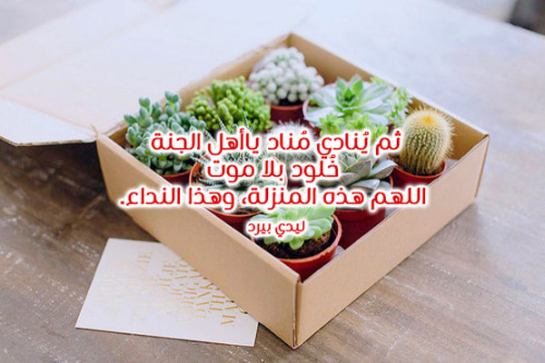 دينية راقية